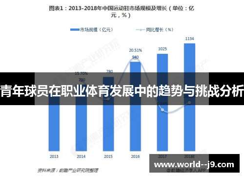 青年球员在职业体育发展中的趋势与挑战分析