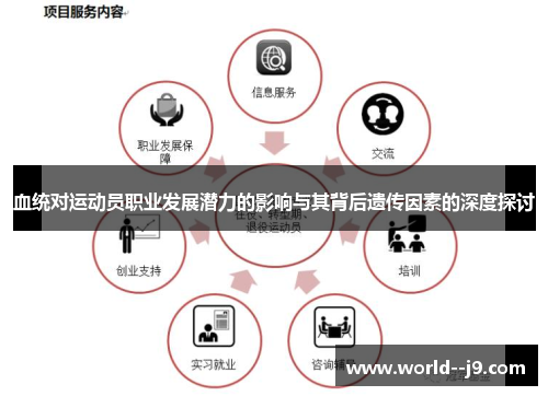 血统对运动员职业发展潜力的影响与其背后遗传因素的深度探讨