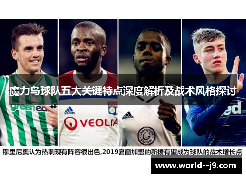 魔力鸟球队五大关键特点深度解析及战术风格探讨
